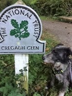 lacey-and-glen-sign